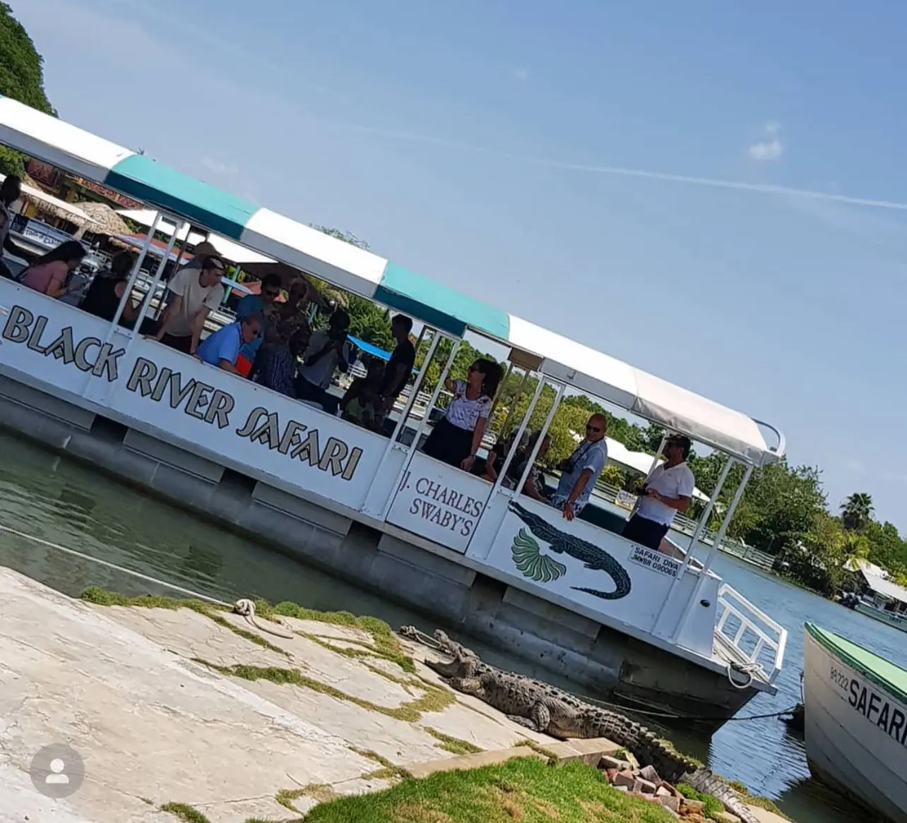 Black River Safari Tour