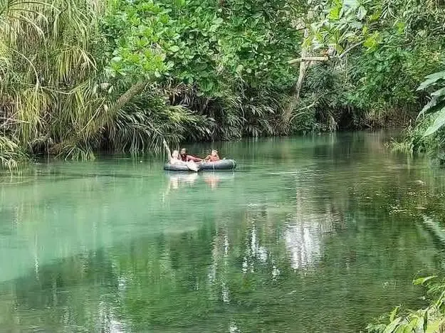 Guests tubing down a calm, tree-lined Jamaican river